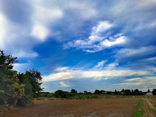 专属夏天的味道