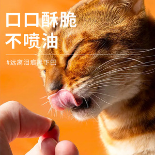 炎炎夏日，鸭梨鲜萃助力猫咪清火气