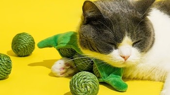 ZEZE猫玩具 耐咬剑麻绳球：猫咪的快乐伙伴