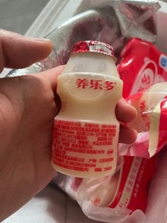 养乐多乳酸菌