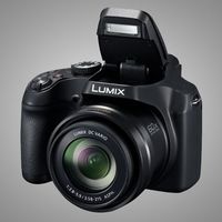 2998元，60倍变焦：松下 Lumix FZ80D 相机国行价格公布