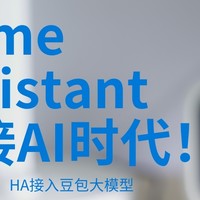 HomeAssistant成功接入豆包大模型，迎接AI