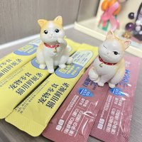 养猫家庭怎么能少了宠物猫条？