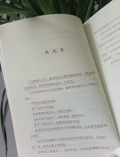 文笔不好的孩子，暑假请翻烂这本书狠提写作能力