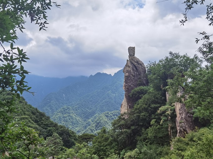 骆驼越野跑鞋