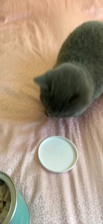 凯锐思 宠物猫咪零食冻干