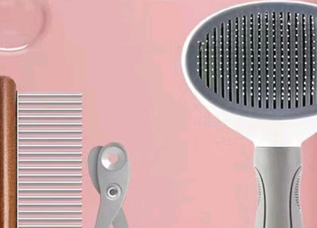 宠物护理大揭秘！五件神奇工具，让爱宠更漂亮！