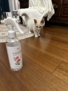 猫奴必备！除螨神器大揭秘