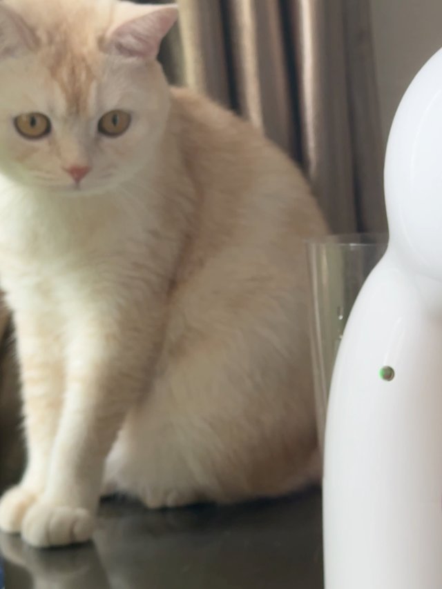 多趣酷思咖啡机