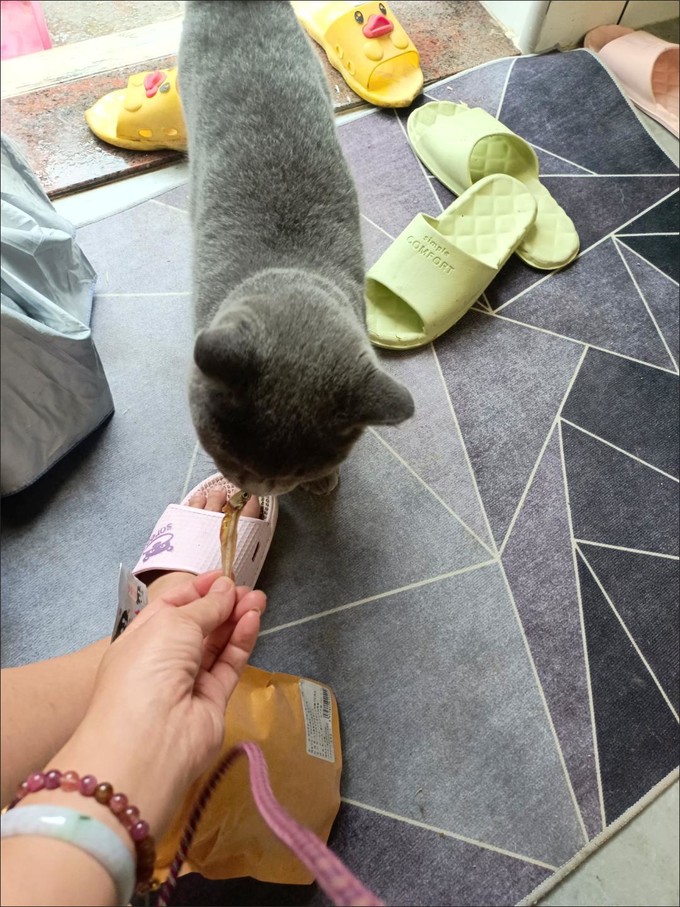 猫咪零食罐/妙鲜包