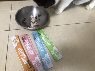 夏日撸猫零食：金多乐羊奶肉酱补水猫条，多种口味无限回购款！