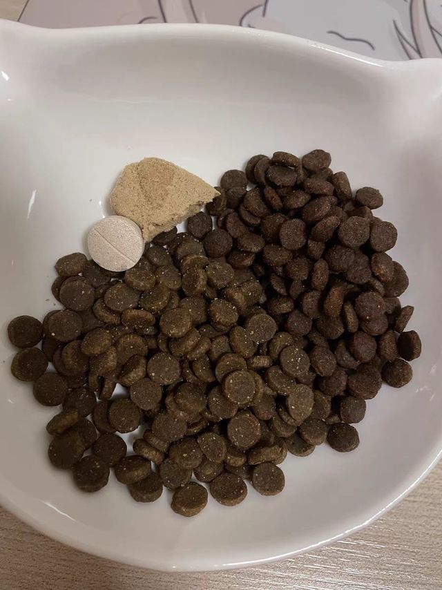 选对猫粮，让爱宠更健康！