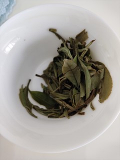 这是白茶还是绿茶？