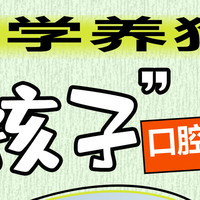 科学养狗🐶这些狗狗口腔护理方法你知道吗