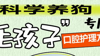 科学养狗🐶这些狗狗口腔护理方法你知道吗