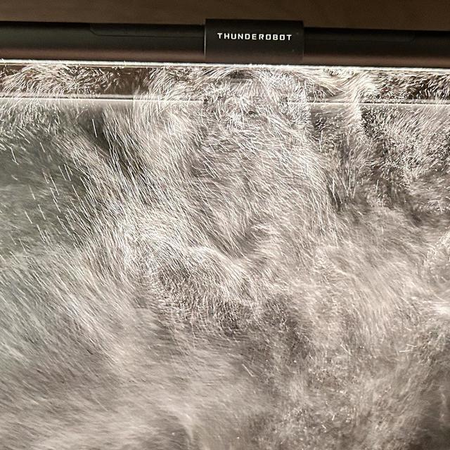 灯！等灯~等灯~等灯~~