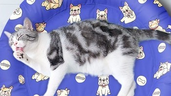 猫窝四季通用夏季猫咪凉席垫降温耐抓咬狗狗睡垫防暑宠物冰窝用品，让宠物冰凉过夏天。
