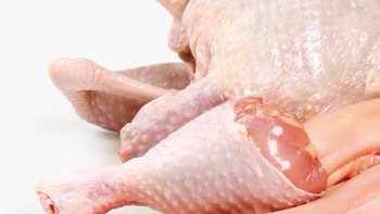 低敏配方零添加防腐剂诱食剂的鸡肉猫粮分享。
