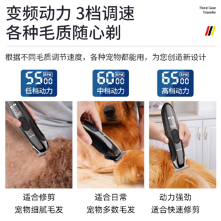 猫咪剃毛，原来可以这么轻松！