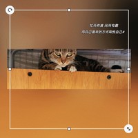 憨憨乐园 房子款 猫抓板：小猫咪的磨爪天地