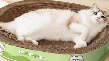 甜浪海 猫抓板猫窝：超大号多功能，为爱猫打造休憩天地