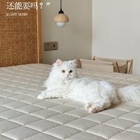 小猫弄脏的床垫还能要吗？🐱