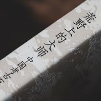 《荒野上的大师》