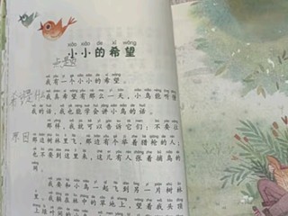 儿童文学的璀璨明珠：《金波四季美文》套装，让孩子在故事中感受四季之美！