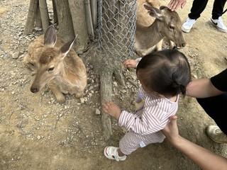 夏日出游季