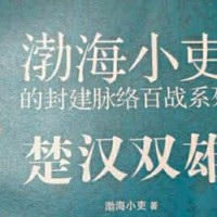 笑谈楚汉风云，领略双雄魅力——《楚汉双雄》