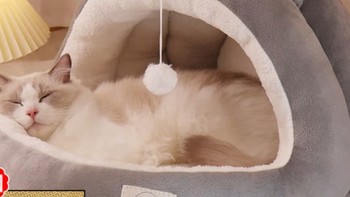 夏季养宠清凉屋——猫窝四季通用型产品评测