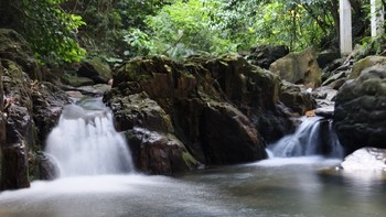 只为尝口正宗鼎湖山泉