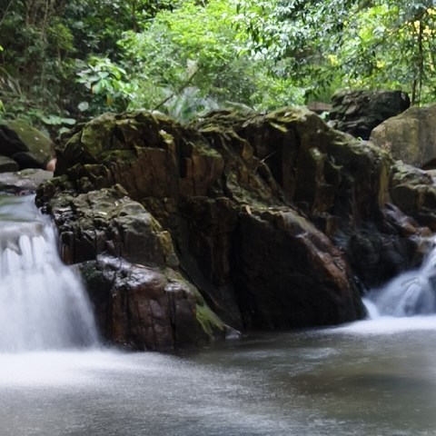 只为尝口正宗鼎湖山泉