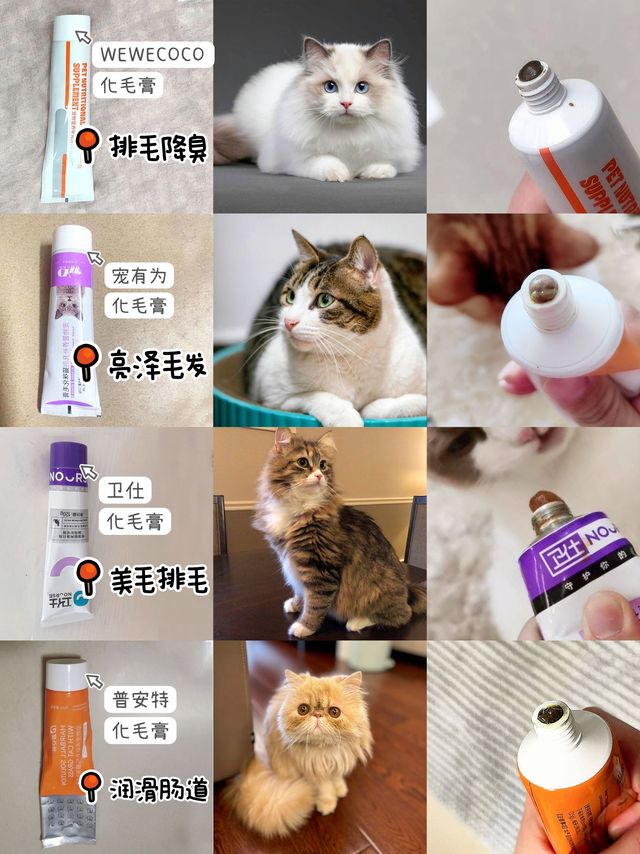 铲屎官速看！超省钱的化毛膏入手攻略