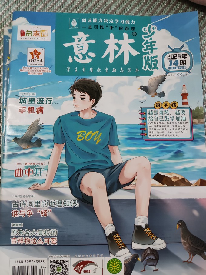 期刊杂志