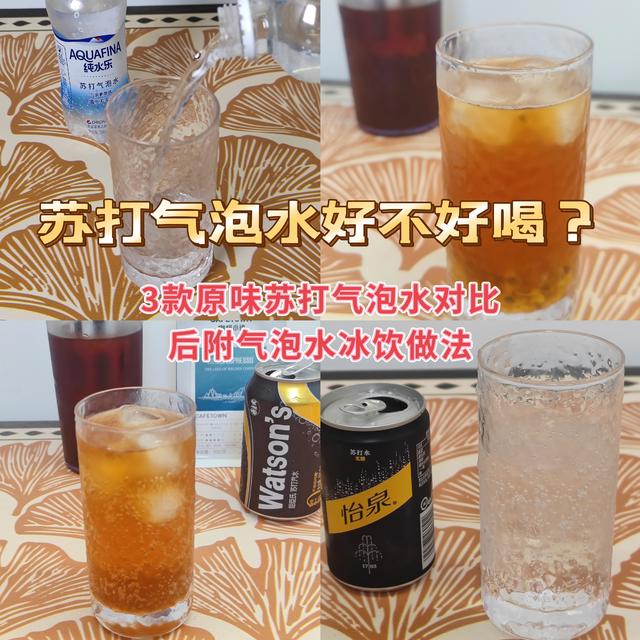 苏打气泡水好不好喝？3款原味苏打气泡水对比，后附气泡水冰饮做法