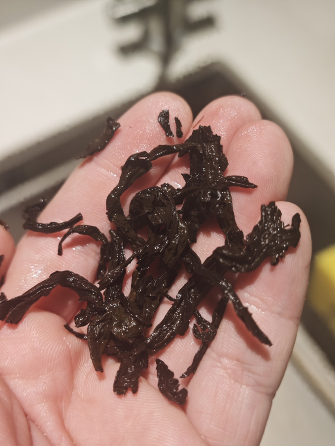 周三云茶会武夷星臻岩老枞水仙