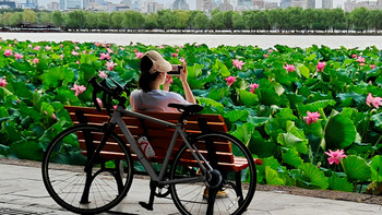 恰逢江南盛夏，探访杭州西湖的诗意风光与休闲生活