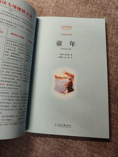 高尔基的童年是怎么样的？