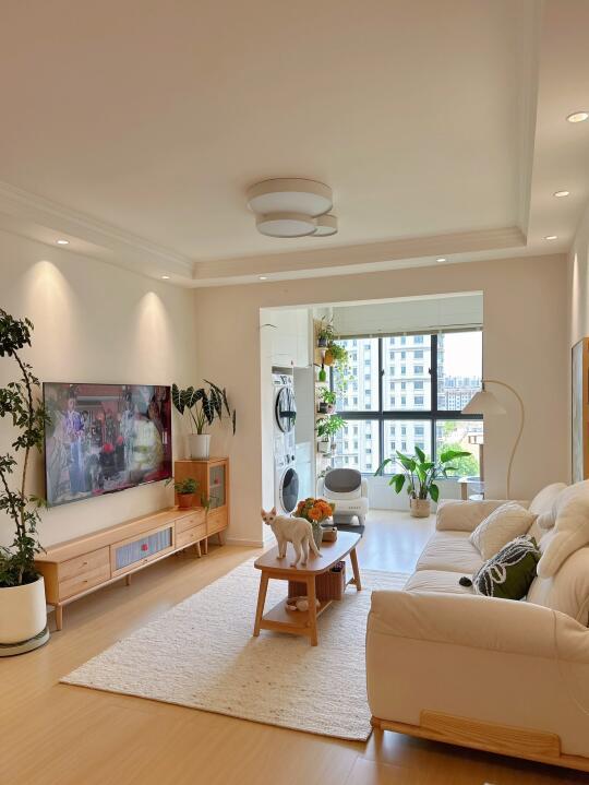 恭喜我们， 26岁两人一猫住进梦中情房🏠