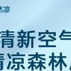 美的（Midea）家用空调扇