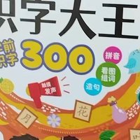 儿童识字300点读机