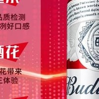 百威拉格啤酒：经典醇正，浓郁麦香的享受