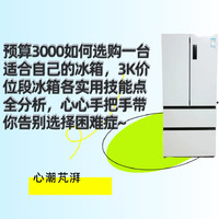 预算3000如何选购一台适合自己的冰箱，3K价位段冰箱各实用技能点全分析，心心手把手带你告别选择困难症