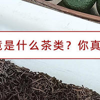 🍵小青柑究竟是什么茶类？你真的清楚吗？😜