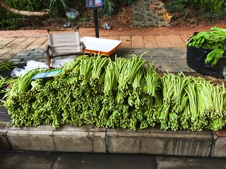 路边5块两把嫩嫩青菜，广西有名的不止水果，还有青菜