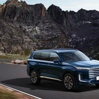 2025款星途 揽月 上市，19.39万元起售的2.0T大型SUV。