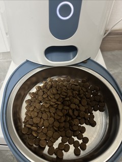 自动投喂机给猫咪投喂猫粮更方便