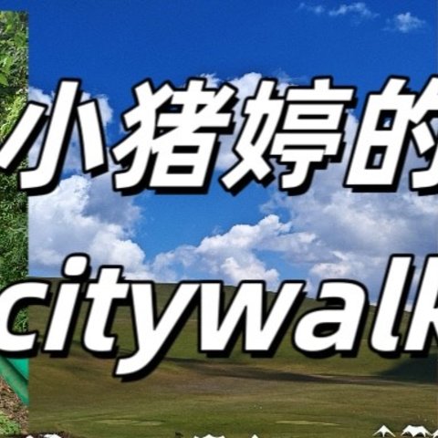 这个暑假是不是只有我在work，别人都在citywalk？跟着我来一场书本上的旅游吧～