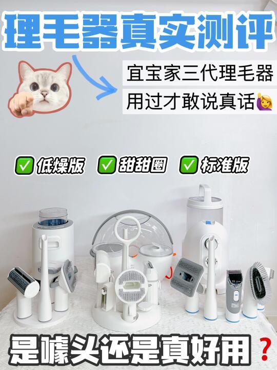 猫咪理毛器大测评！告别猫毛满天飞🍂